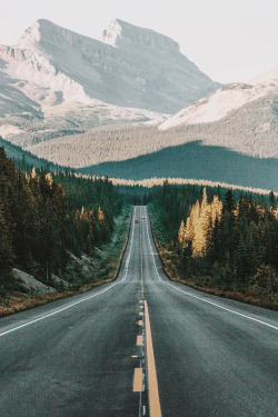 banshy:  Icefields Parkway // Griffin Lamb 