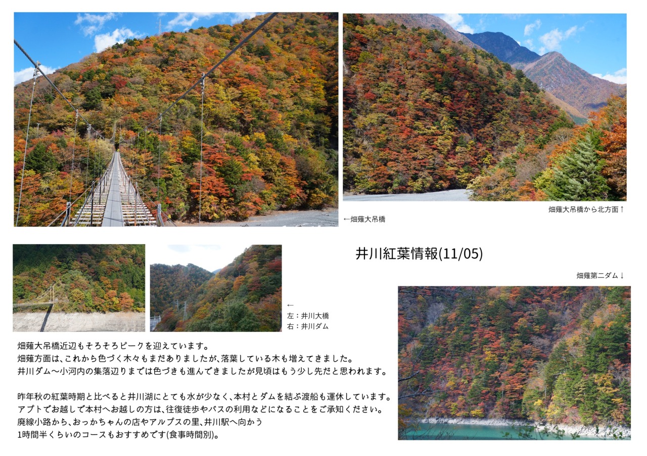 Ikawa Photo Spot 井川湖周辺の紅葉情報 11 5 11 6