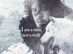 echrai:I have direwolf feelings and now I’m going to talk about them.The older boys rejected a real 