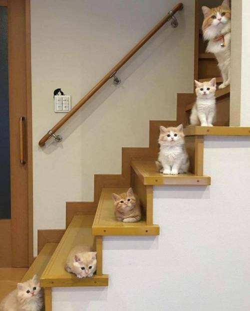 Stairway to heaven