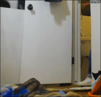 When Daddy has actual stuff to do but all I want to do is snuggle