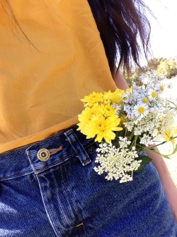 perennialflowur:  Flowers that I picked🌻