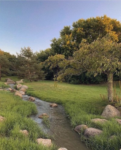cottagecorefairy:𝘣𝘳𝘦𝘢𝘵𝘩𝘦 𝘪𝘯, 𝘣𝘳𝘦𝘢𝘵𝘩𝘦 𝘰𝘶𝘵 