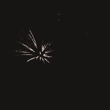                                                                  Happy New Year!