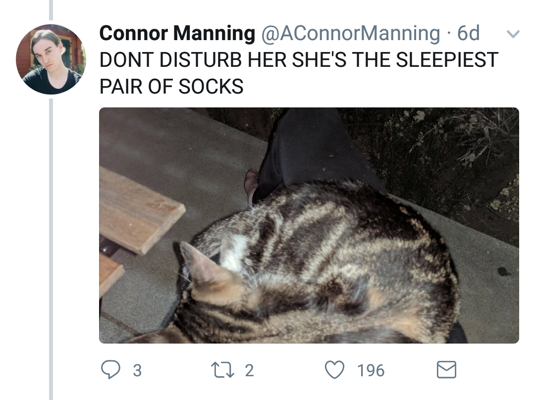 shadow-daughter: ms-cellanies:  aconnormanning: me to the other room: “SOCKS YOU’RE