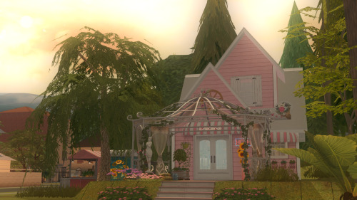 Blush In Blooming Plant Shop.