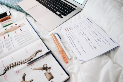 [11.18.17: Anatomy Study Session]