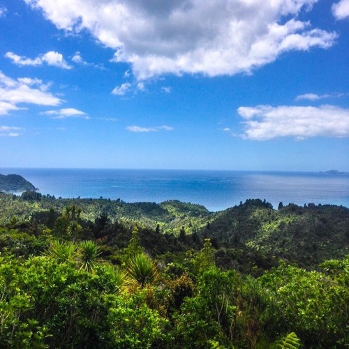 funforlouis:  New Zealand is just breath taking!