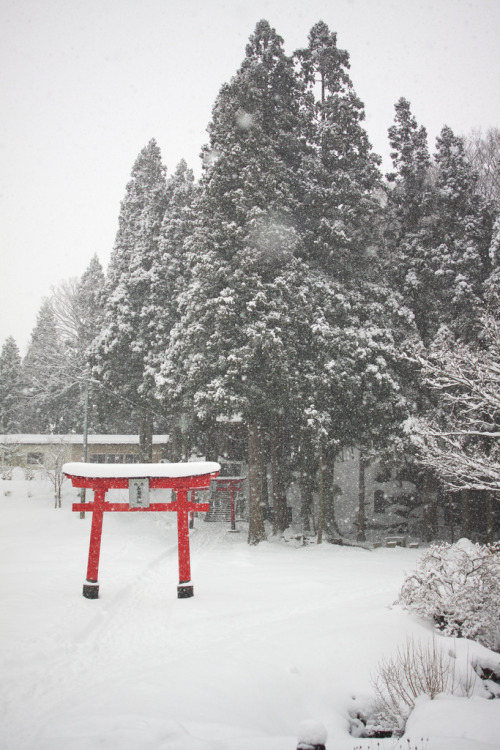 japanesecontent:  The Lonely Winter (by jasohill)