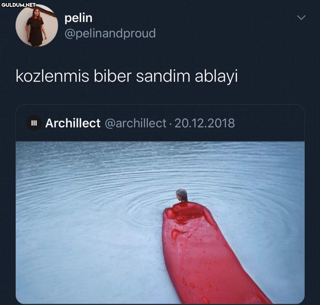 Öyle değil mi zaten pelin...