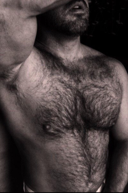 cuddlyuk-gay:    I generally reblog pics of guys with varying degrees of hair, if you want to check out some of the others, go to: http://cuddlyuk-gay.tumblr.com  