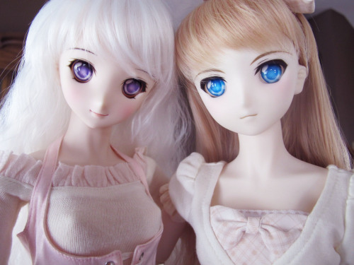 Mercy and Tempest (Volks Dollfie Dream DDH-06 and Saber Alter II)