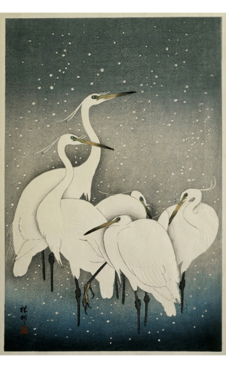 Ohara Koson, Group of Egrets, 1925-36. Color woodcut. Japan. Via Rijksmuseum