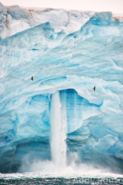 matsvri:  Iceberg Waterfall - Svalbard ✕