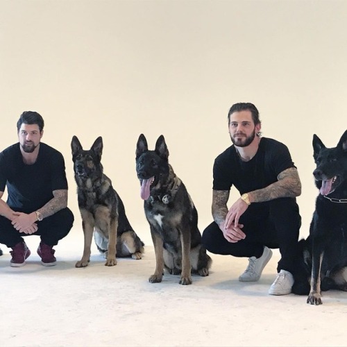 thedallastars: ellenkyhair: Behind the scenes with the #dallasstars and #dallaspd #k9unit ! Get read