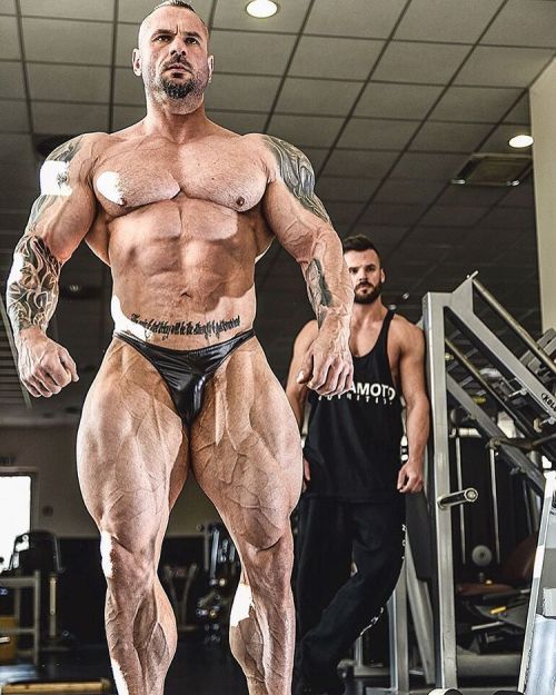 musclelovergr: SLOVENIAN IFBB PRO BODYBUILDER MIHA ZUPANSee more: musclelovergr.blogspot.com