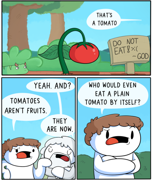 theodd1sout:God was saving that for one killer saladFull Image