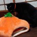 straycatj:皆しゃん　こふの　はろうぃんまじっくの　おじかんでちHey hey everyone, it’s Kofu’s Halloween Magic time!じゃあ…かぼちゃさんにのるでち？Ok…Kofu am going to sit on the pumpkin…3.2.1…Ｊせんせが出てきたでちー！せいこうでち！Wow!