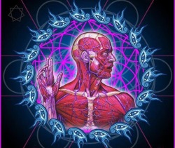 Ink-Metal-Art:  Tool Lateralus