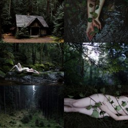 balticmythology:  Baltic mythology: Forest