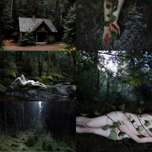 Porn balticmythology:  Baltic mythology: Forest photos