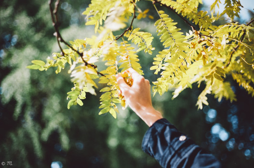 October days.Facebook • Instagram • Flickr