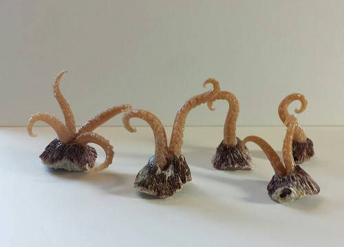 Tentacle barnacles are a creature of my own invention, constructed by adding hand sculpted polymer c