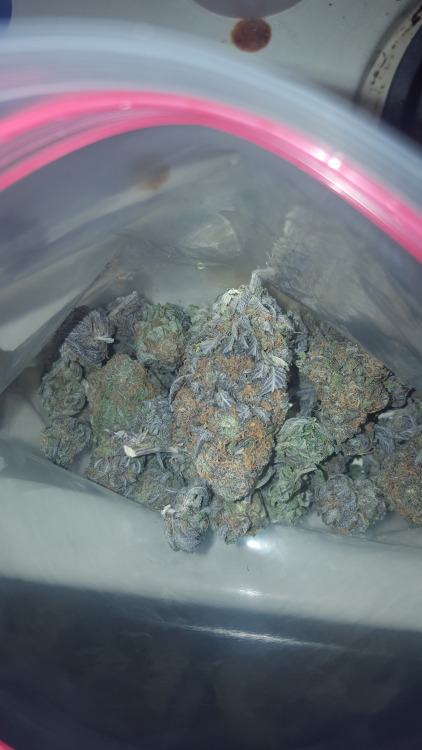 herbmedication: heatedventaliation: My Purple Cookies. I have been looking for this strain so long!!