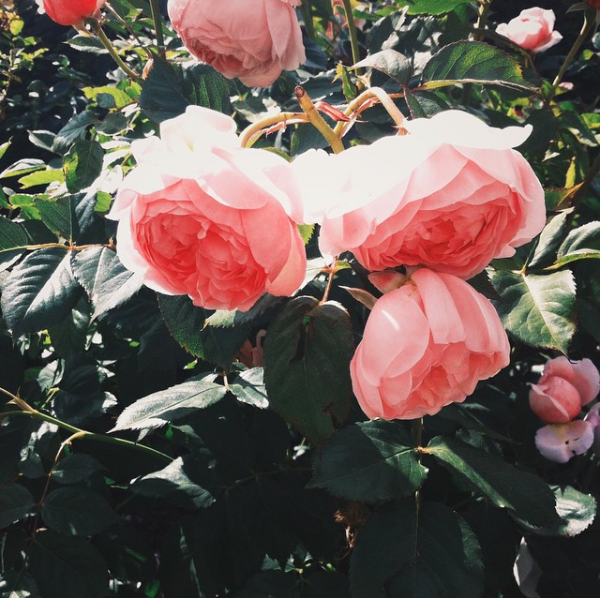 jennieintheclouds:  sometimes moments should be captured at the last of minutes…