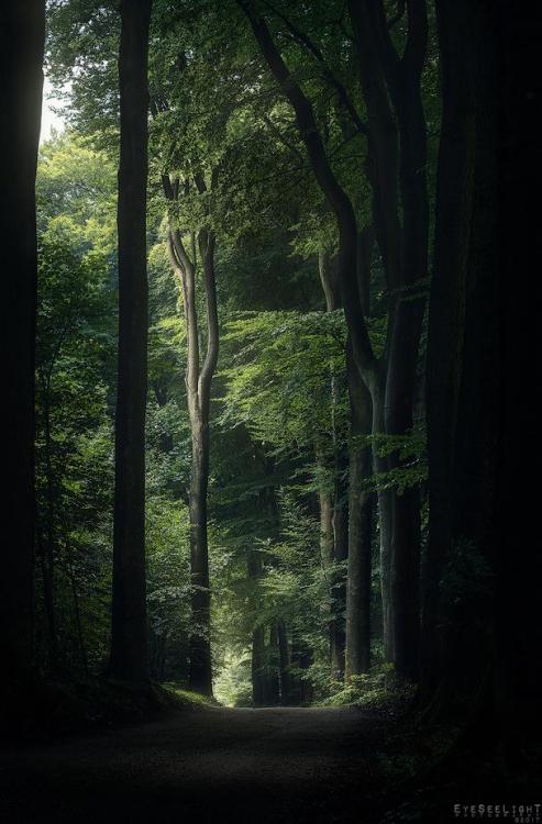 annwn: Eyeseelight Photography - Ron Jansen