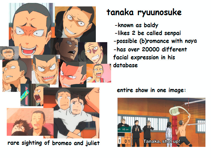 timeofdeathnote: A guide to Haikyuu!! 