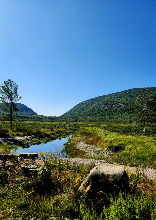Reposting Today With Images Of My Vacation In New England! It's Really Beautiful Here And I Miss Writing
