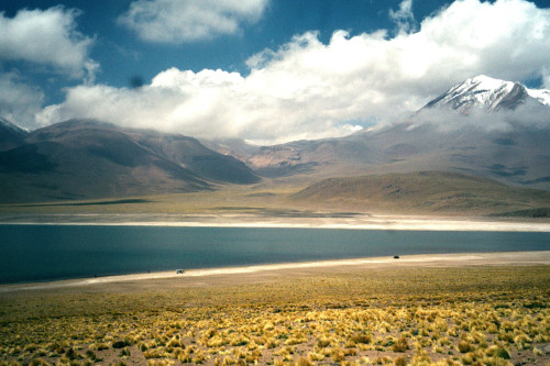 Puna, Atacama near San Pedro de la Atacama, Chile, 2000.