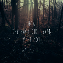 lyricslateatnight:  Neck Deep // Head To