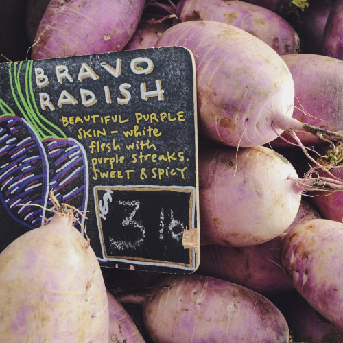 Farmers Market Vegetables.