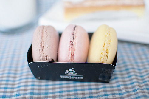 cinnahearts:  macaroon (by pikakaka)