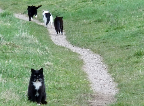 Bacup (by Andrew Stopford)