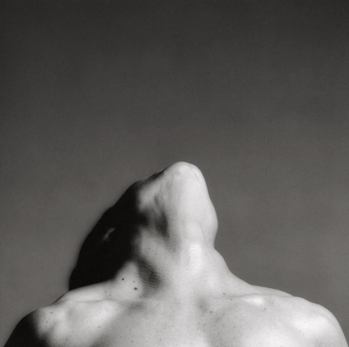 joeinct:  Lisa Lyon, Photo by Robert Mapplethorpe, 1982