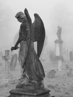 skull-designs:  Forever in the fog. St Mary’s,