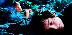 lady-arryn-deactivated20140718:  ✥  3. Three is Company:   “A fox passing through
