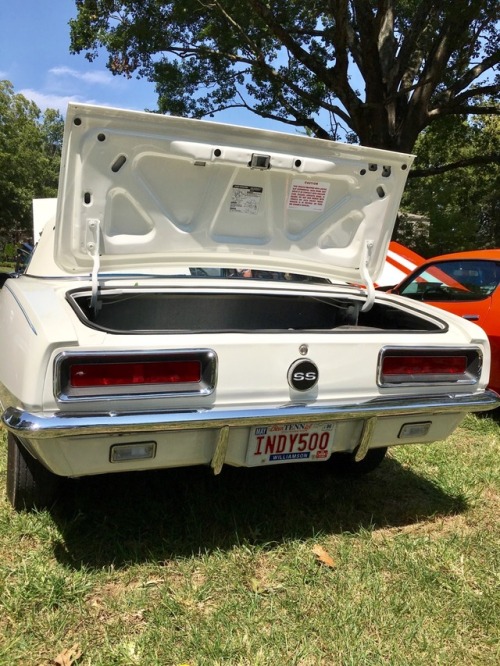 Mint condition 1967 Camaro Indy 500 Pace Car at a local car show last weekend. This car has a 350 wi