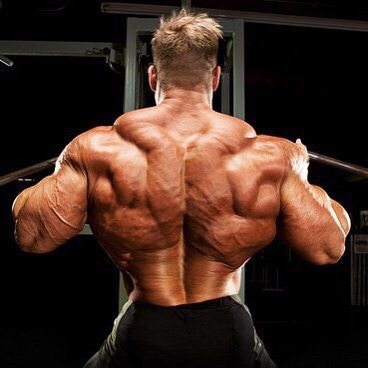 XXX Jay Cutler photo