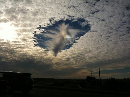 sixpenceee:  intolde:  The Fallstreak Cloud is a hole made in a cloud naturally. These holes are made because of the cloud’s water temp. being below freezing, but have not frozen yet. Then, when ice crystals do start to form, the water droplets along