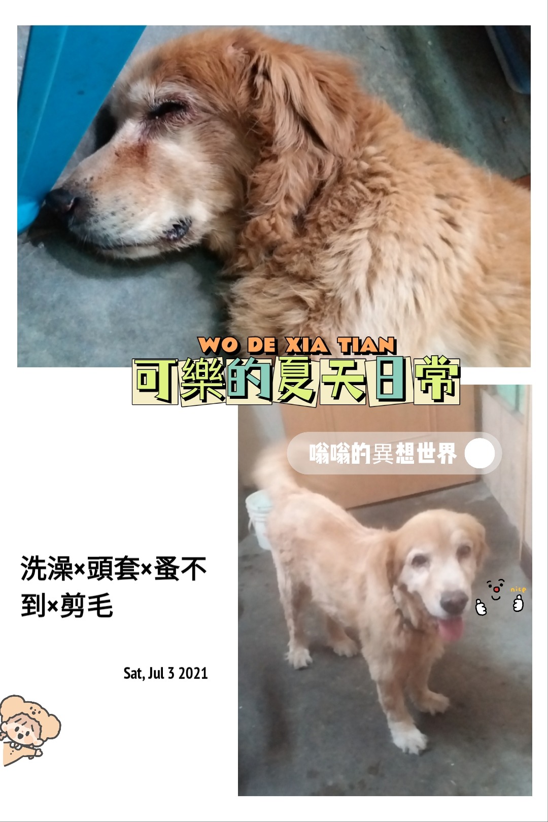 黃金獵犬 可樂 Life 嗡嗡的異想世界 Lifestyle 隨意窩xuite日誌 黃金獵犬 可樂 Life 嗡嗡的異想世界 Lifestyle 隨意窩xuite日誌
