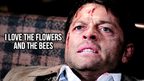 mishasminions - CAS “LOW-KEY” LOVES DEAN