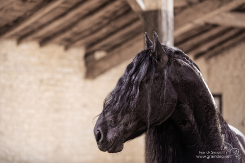  Regard d'ébène by franck simon 