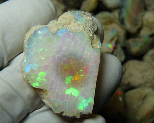 yensidlove:Ethiopian Opal with a rare ‘Honeycomb’ Pattern#no it’s an ancient drago