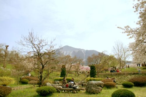 Hitsujiyama Park (羊山公園; Hitsujiyama Koen)