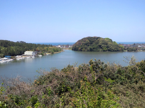 20150426　日曜日北潟湖畔公園のあと吉崎御坊まで。4月23日から5月2日までが「蓮如忌」ということで、多くの観光客で賑わっていた。Gobou市という市（いち）で福井や石川のお店が出店していて、ま