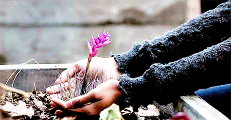 crack3dtheory:  Witches &amp; Nature.